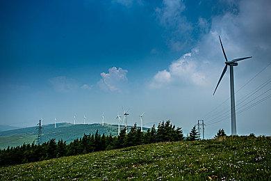 SEGA音游《森巴德明哥》系列新作夏季发售